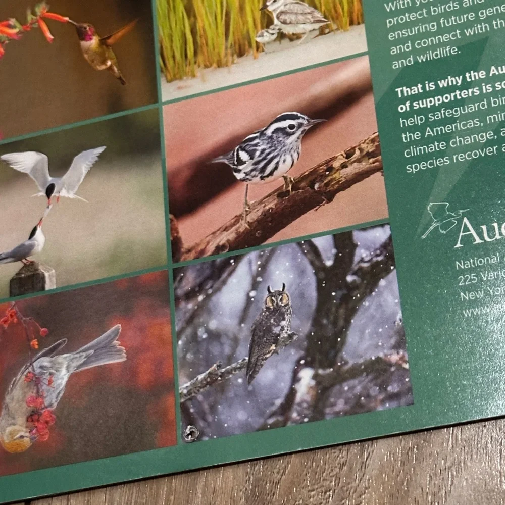 Audubon Society 2026 Protecting Birds & Nature 16 Month Calendar